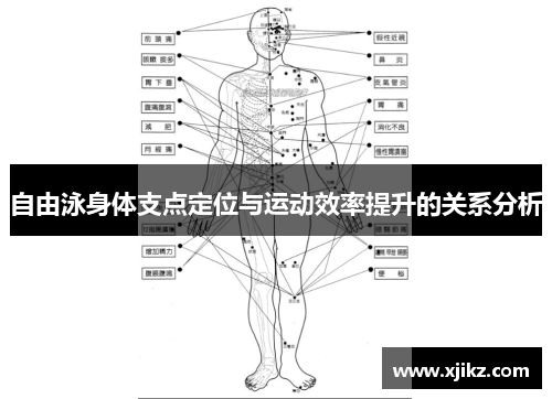 自由泳身体支点定位与运动效率提升的关系分析