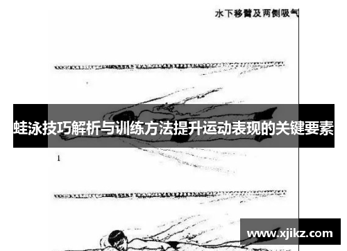 蛙泳技巧解析与训练方法提升运动表现的关键要素