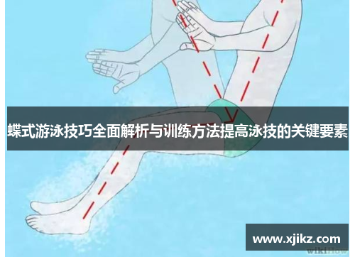 蝶式游泳技巧全面解析与训练方法提高泳技的关键要素